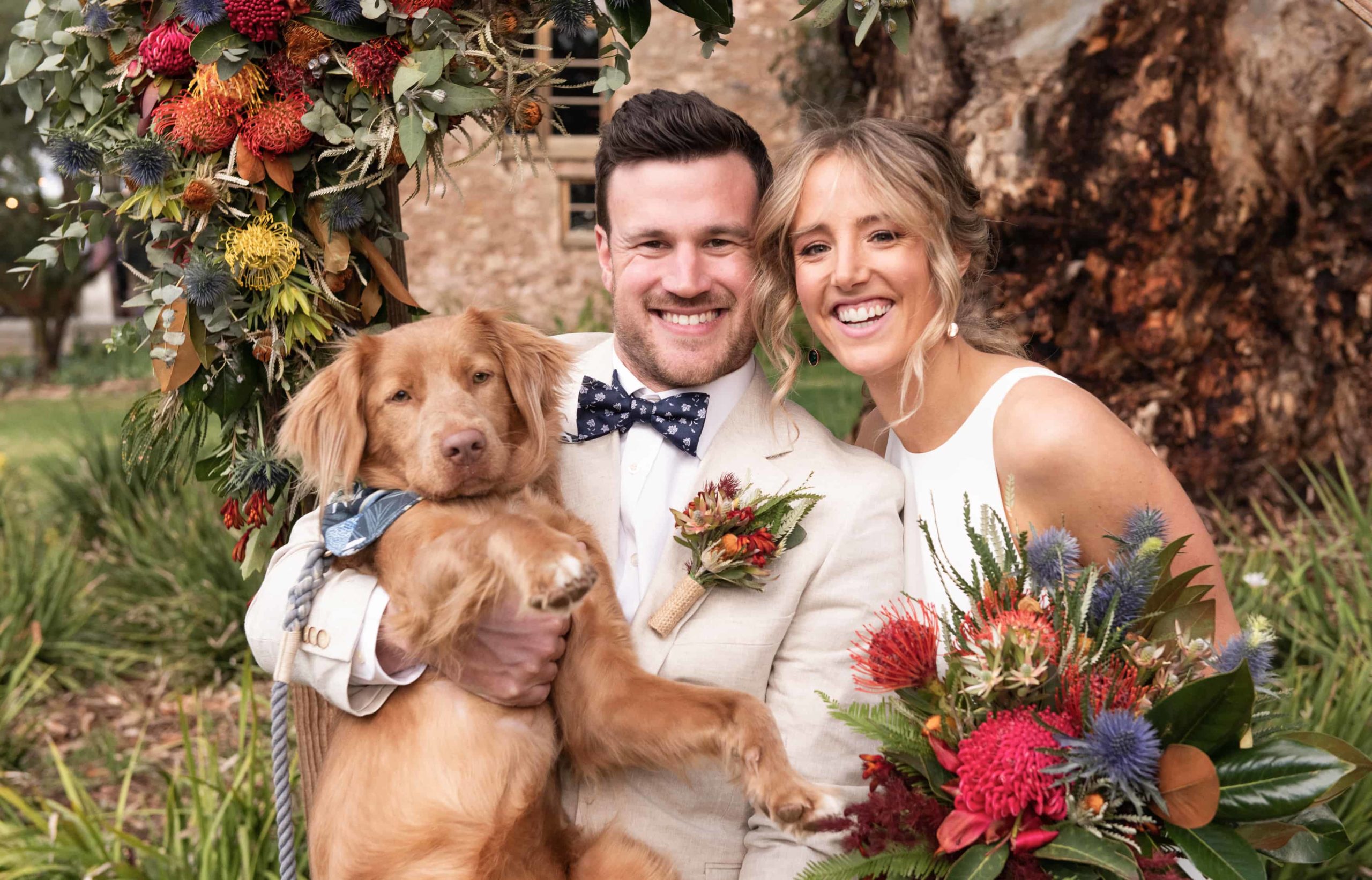 Dog at wedding